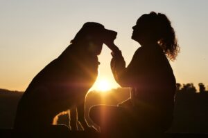 ¿Cómo sanar tu corazón tras la muerte de tu mascota?