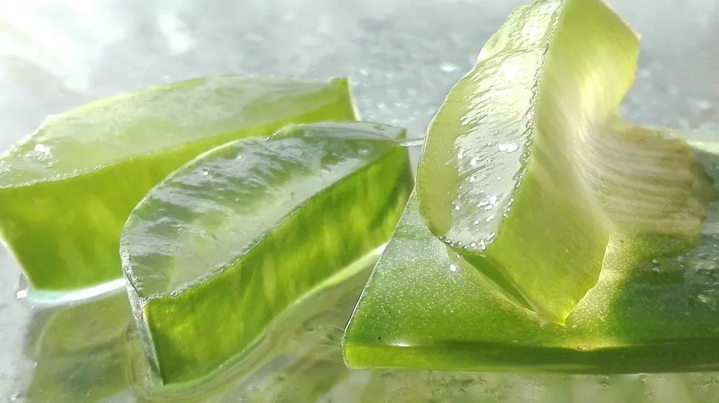 Cuida tu piel con aloe vera, aceite de coco y miel