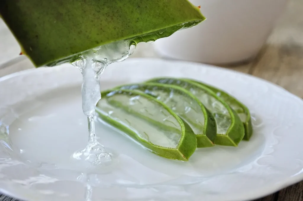 La sábila, un regalo de la naturaleza