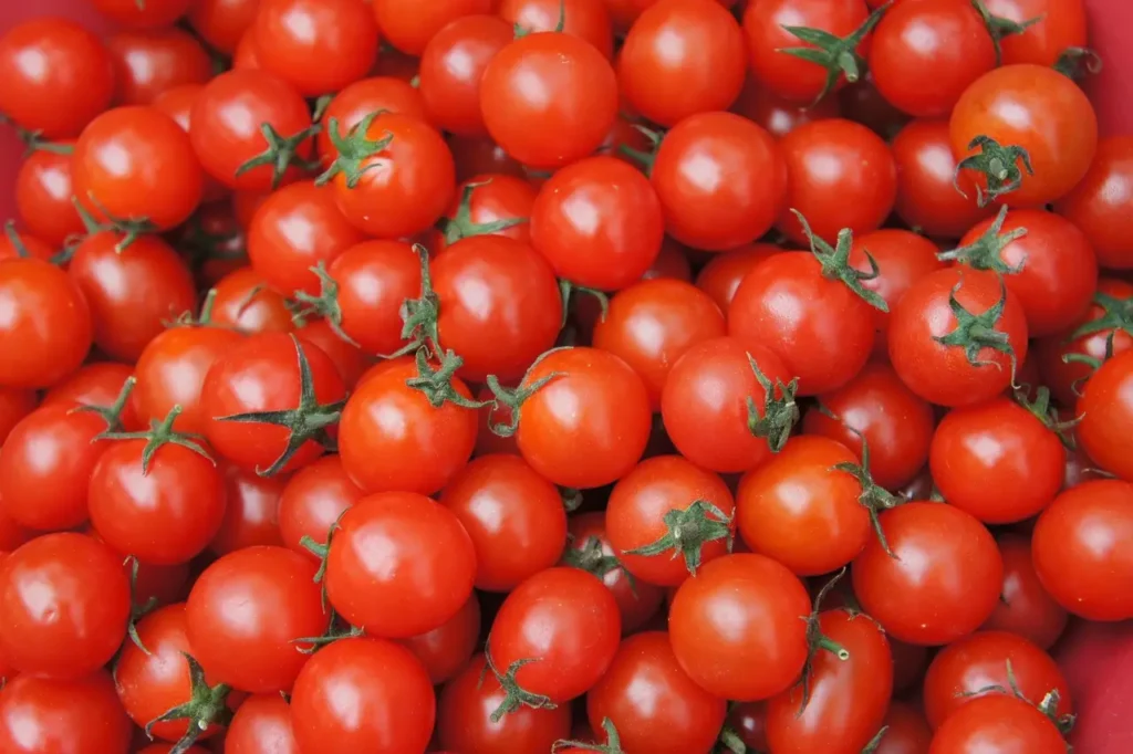 Estos son los alimentos que rejuvenecen la piel