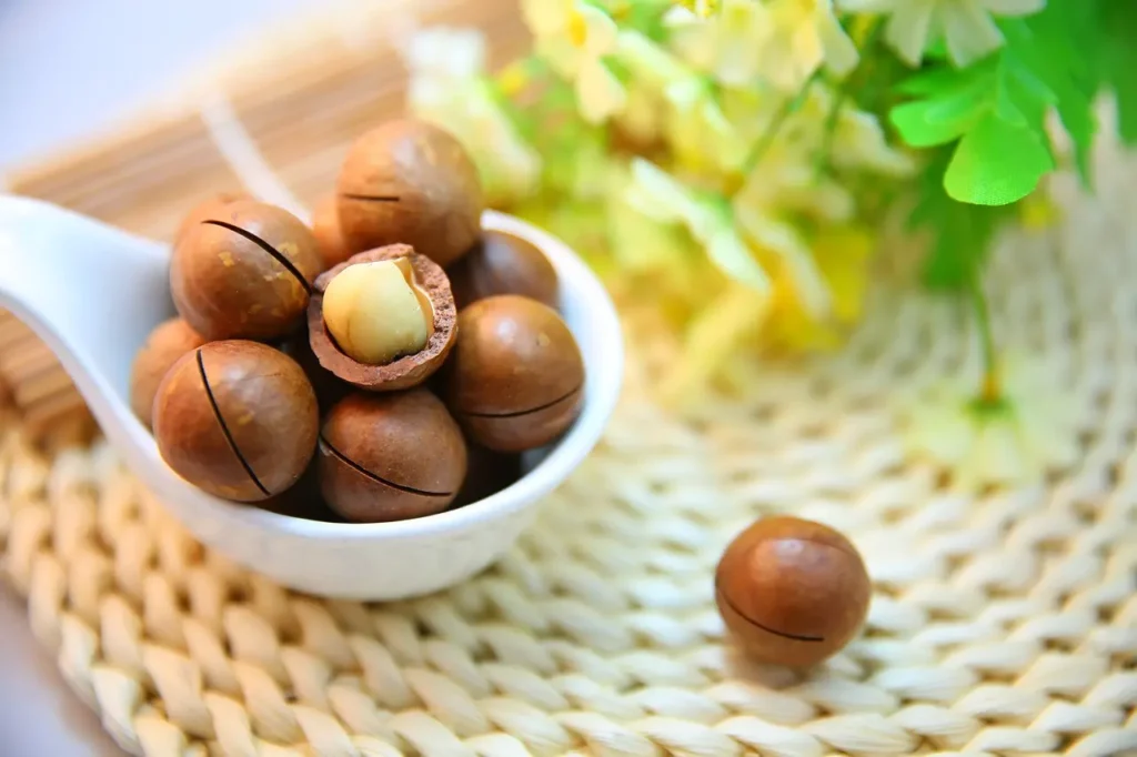 Frutos secos
