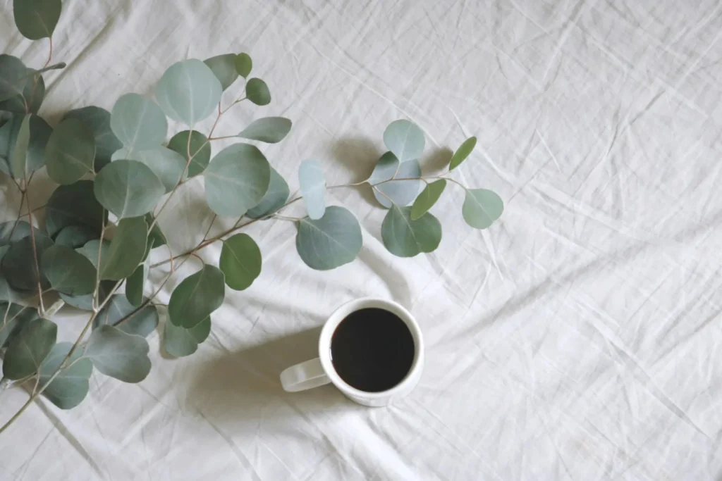 Plantas medicinales para tu bienestar