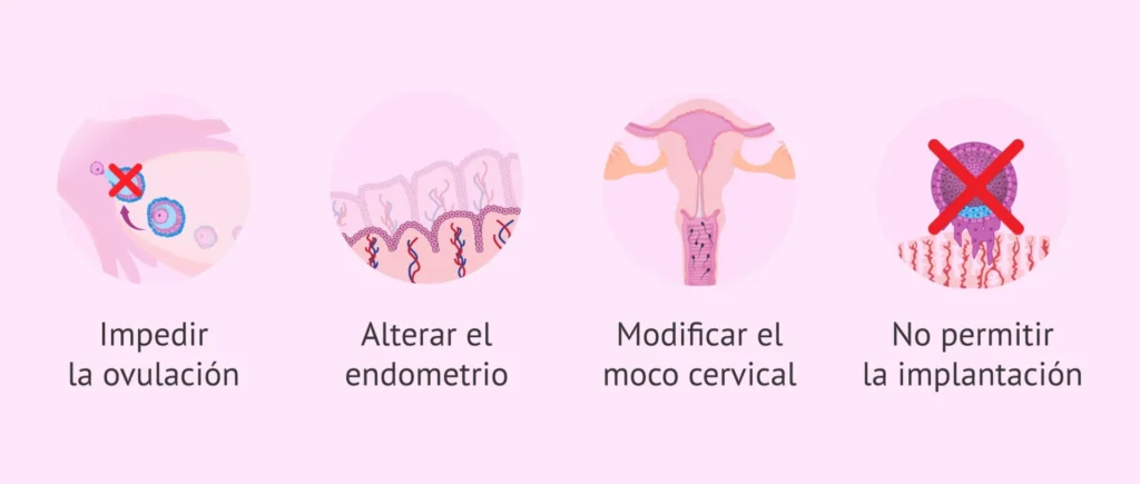 Anticonceptivos y efectos secundarios: lo que muchas mujeres sienten, pero pocas hablan 1 Anticonceptivos y efectos secundarios: lo que muchas mujeres sienten, pero pocas hablan